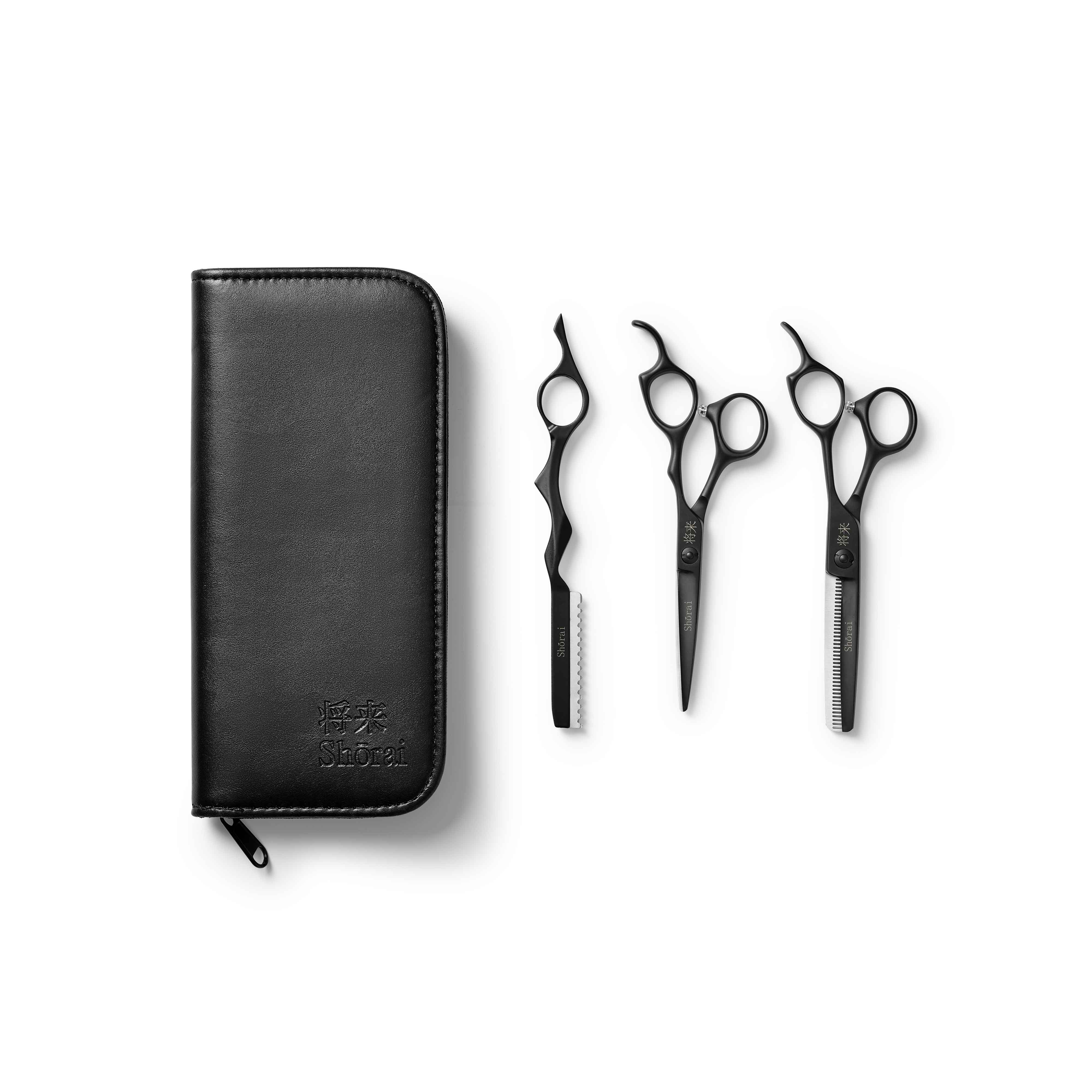 1446-Shorai-Starting-Set-Matt-Black-logo - Goldblades